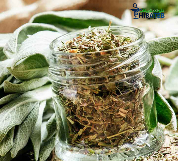  خواص درمانی گیاه و چای مریم گلی + عوارض و ماسک های ...
