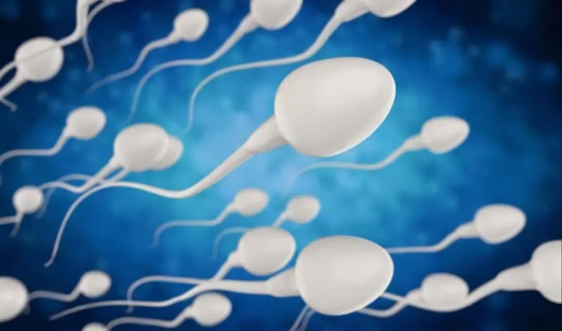 بهترین راه های افزایش تعداد اسپرم چیست؟